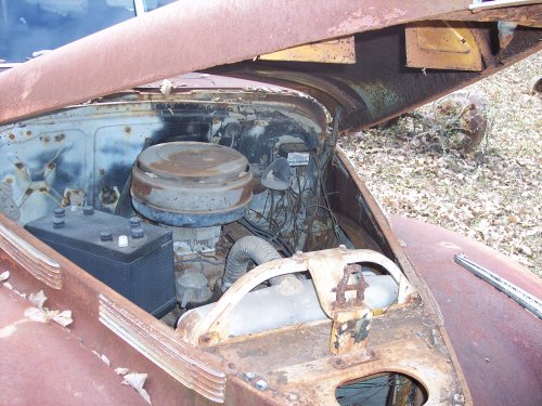 1940 Cadillac LaSalle, hood view